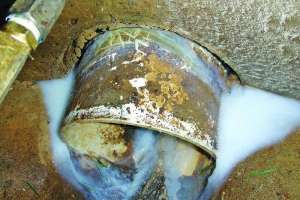 Prime resins case study 171031 133223