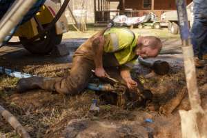 Profile Elizabethton