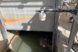 Pulsar measurement case study