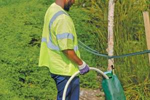 Absorbing the Impact of Stormwater
