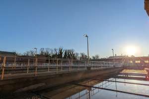 Pushing Asset Management Boundaries