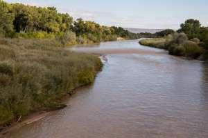 Reclamation feasibility studies