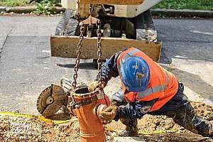 Ears Peeled for Trouble