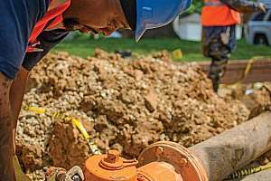 Ears Peeled for Trouble