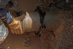 Ears Peeled for Trouble