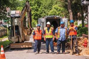 Ears Peeled for Trouble