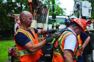 Safety 2 250127 091033