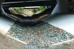 Santa Clara Water District Keeps Steelhead Trout Moving