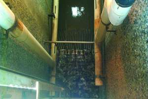 Screentec System Solves Lift Station Problems