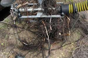 Sewerproshop Blue Star Raptor And Viper