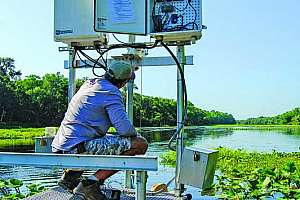 Cleaning Florida’s Water and Restoring Wetlands