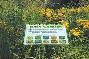 Utility Takes Proactive Approach to Stormwater