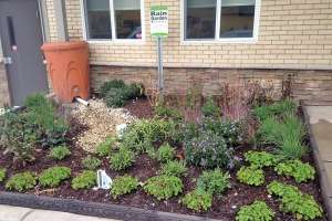 Utility Takes Proactive Approach to Stormwater