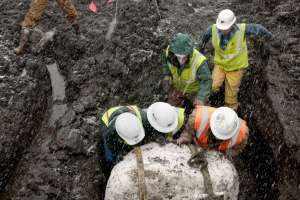 Snowmastodon! Reservoir Project Unearths Fabulous Fossils