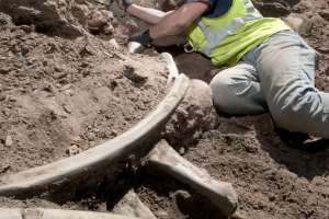 Snowmastodon! Reservoir Project Unearths Fabulous Fossils