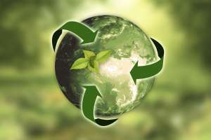 Sustainability in business