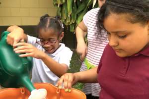 Teaching Responsible Water Use
