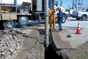 T rex1 171031 135149