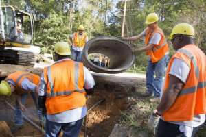 Tallahassee 45 large 171030 135837