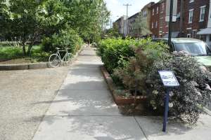 Tb Pwd Stormwater Planter