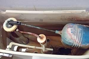 Toilet rebate 2