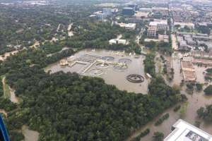 Turkey Creek Ww Plant