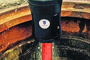 Vanguard pathogen defense system case study 171031 133422