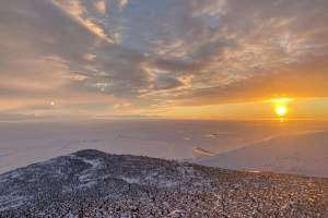 Life at the Bottom of the Water Industry