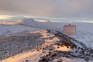 Life at the Bottom of the Water Industry