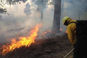 Wildfire contamination
