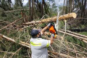 Advance Preparation Helps Utilities Weather Hurricane Irma