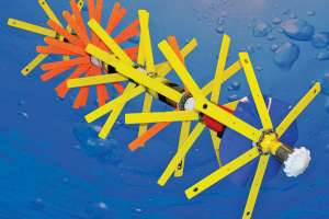 Xylem pipediver