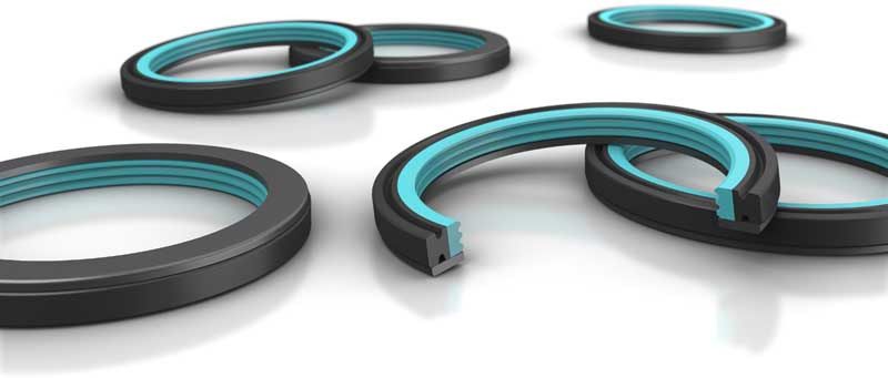 Trelleborg Sealing Solutions D-shaped ring