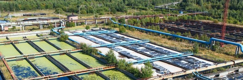Xylem edge control large